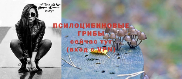 мескалин Арсеньев