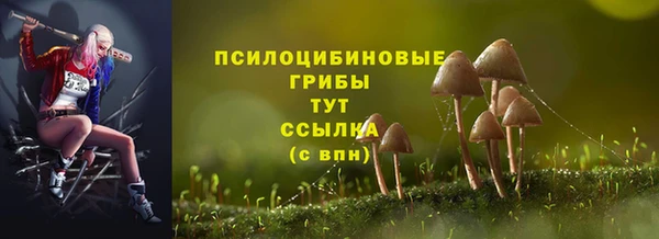 мескалин Арсеньев