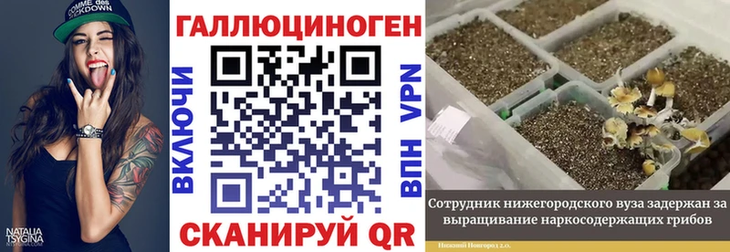 Псилоцибиновые грибы мухоморы  Рудня 